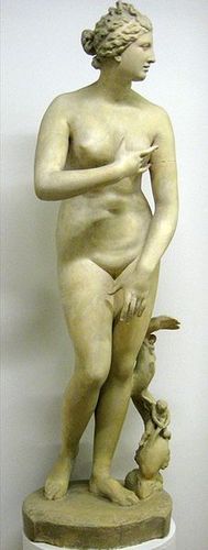 Apasionada por la cultura. Despistada. Algo absurda. Mitologica. Revolucionaria! :3