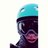 Profile Picture of Nick Chilton (@snowbirdnmc) on Twitter