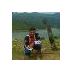 Alex Moreno (@AlexMor98956647) Twitter