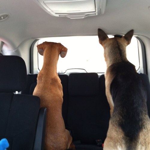 RiteDrew's profile picture. Fire it up lets go get this thing stuck