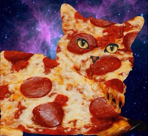 🔻🔻🔻 #pizzaprobs
