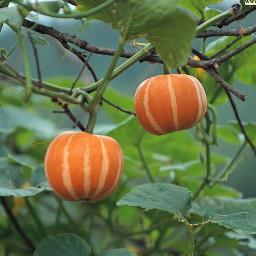 kimms5895's profile picture. 