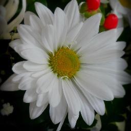 jessahmay80's profile picture. 