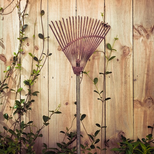 lovebeerinpgh's profile picture. Beer Lover.  Beer Rater.  Beer Writer