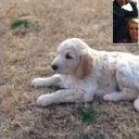 Bruce Applebaum - @ApplebaumBruce - Twitter