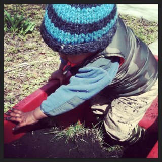 NewlywedGarden's profile picture. Sharing our experiences as gardeners and new parents