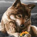 Robert Boothe Stewar - @rbstewart720 - Twitter