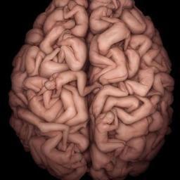 Neuropsicóloga Clínica Neurovida- Clínica de Neurología Global.
Torre Médica III Hospital Metropolitano,Cons 203.
Tlf 3220230 p.sotomayor@neurovida.com.ec