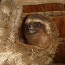 mitch wynn - @wynny90 - Twitter