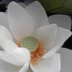 nhkさんのプロフィール画像