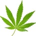 Kush Code™ (@iweedlove) Twitter profile photo Kush Code™ (@iweedlove) Twitter profile photo