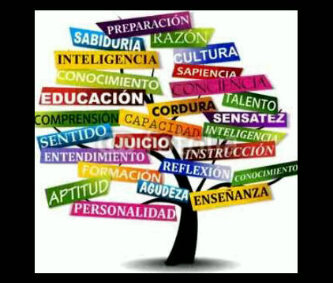 CUMANESA. CONTADOR PUBLICO. CORREDOR DE SEGUROS. ESPECIALISTA EN MATERIA MERCANTIL Y ANALISTA FINANCIERO. ENAMORADA DE MI FAMILIA Y AMANTE DE MI PATRIA