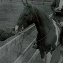 Ted foote - @TedStf - Twitter