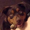 Mark Friedman - @MarkJFriedmanII - Twitter