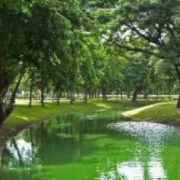 Saya pernah kehilangan motivasi, tapi saya tidaak pernah kehilangan tujuan. tujuanlah yang membuat saya termotivasi..
