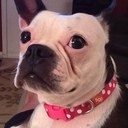 Kim Witter - @Kimmcwitt - Twitter