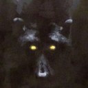 Steven Thorn - @d_murdoc - Twitter