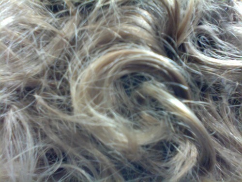 gardenofeiden Profile Picture