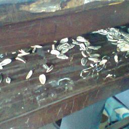 hungdaica116py's profile picture. 