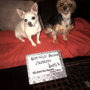 Chad Ryan Becnel - @chad_becnel - Twitter