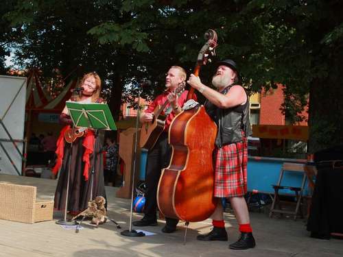 schepertromp's profile picture. Folk met een knipoog.