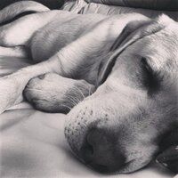 Ignacio Duran (@nachoduranm) 's Twitter Profile