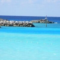 Shepard (@shepardbucio) 's Twitter Profile