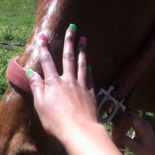 Kountry Guhh Fa Eva..!! SneakyRiderz Kountry Lyfe..!! Plaisance~Sneakyville(: #Trailriding,#boot stomping.COWGIRL~SWAGG(: