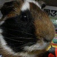 ゆにみにー (@y108dreams) 's Twitter Profile Photo