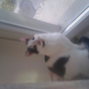 Michael Rothacher - @ZockerLP19 - Twitter