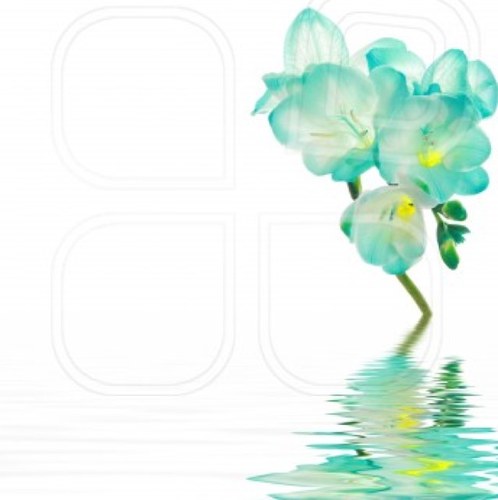 mim_hanna's profile picture. 