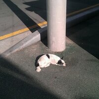 golbaeng_e_126 (@golbaeng_e) 's Twitter Profile