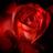 LunyFiore's profile image
