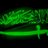 M6N05_511's profile image