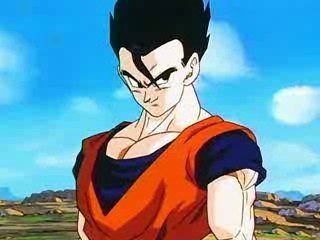 My name is Gohan. Scholar, Savior, Son of Goku and Chi Chi, older brother of Goten. Half Saiyan, Half Human. adultgohandbz@gmail.com