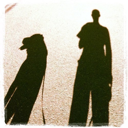 gabrieleforlin's profile picture. 