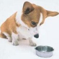 Koz∴［RafAvi］ (@koz_therefore) 's Twitter Profile Photo
