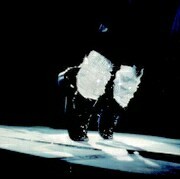 Michael Jacksonを聴きます。差別も搾取もない社会の実現にむけて微力ながら行動中。