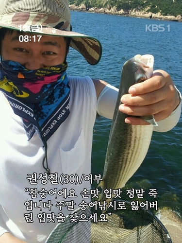 ksc74141's profile picture. 