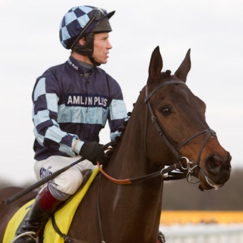 captainchris04's profile picture. In training with PJ Hobbs. Owned by Mr & Mrs Whateley. Won the Arkle in 2011, 3rd in KG 2011 & 2nd in 2012, Amlin Chase 2012, http://t.co/v8r7Y4zVV8 Chase 2014.
