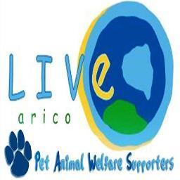 We rescue and rehome animals on the Canarian Island of Tenerife. We are also pro-active in welfare issues and education regarding spay, neuter and micro-chip.