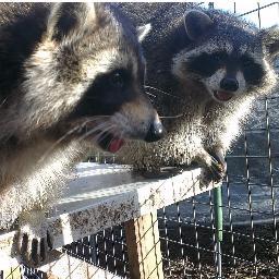 stevescouse1234's profile picture. Offshore electrical technician with rope access level 1 looking for my next contract