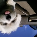 Linette Colon - @iveliselin407 - Twitter