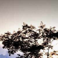 RyhmingPurple (@rhymingpurple) 's Twitter Profile