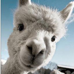 melodicghost's profile picture. Lover of life, animals, the earth, and all things beautiful