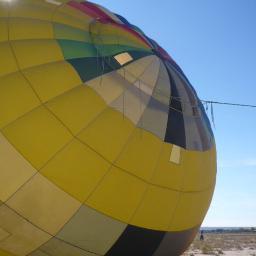 globuspopus's profile picture. 