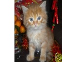 Luis Sparks - @LuisSparks2 - Twitter