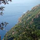 Beatrice Basso - @beatricebebass - Twitter