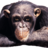 malcrc's profile image