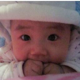 xjfan81's profile picture. 